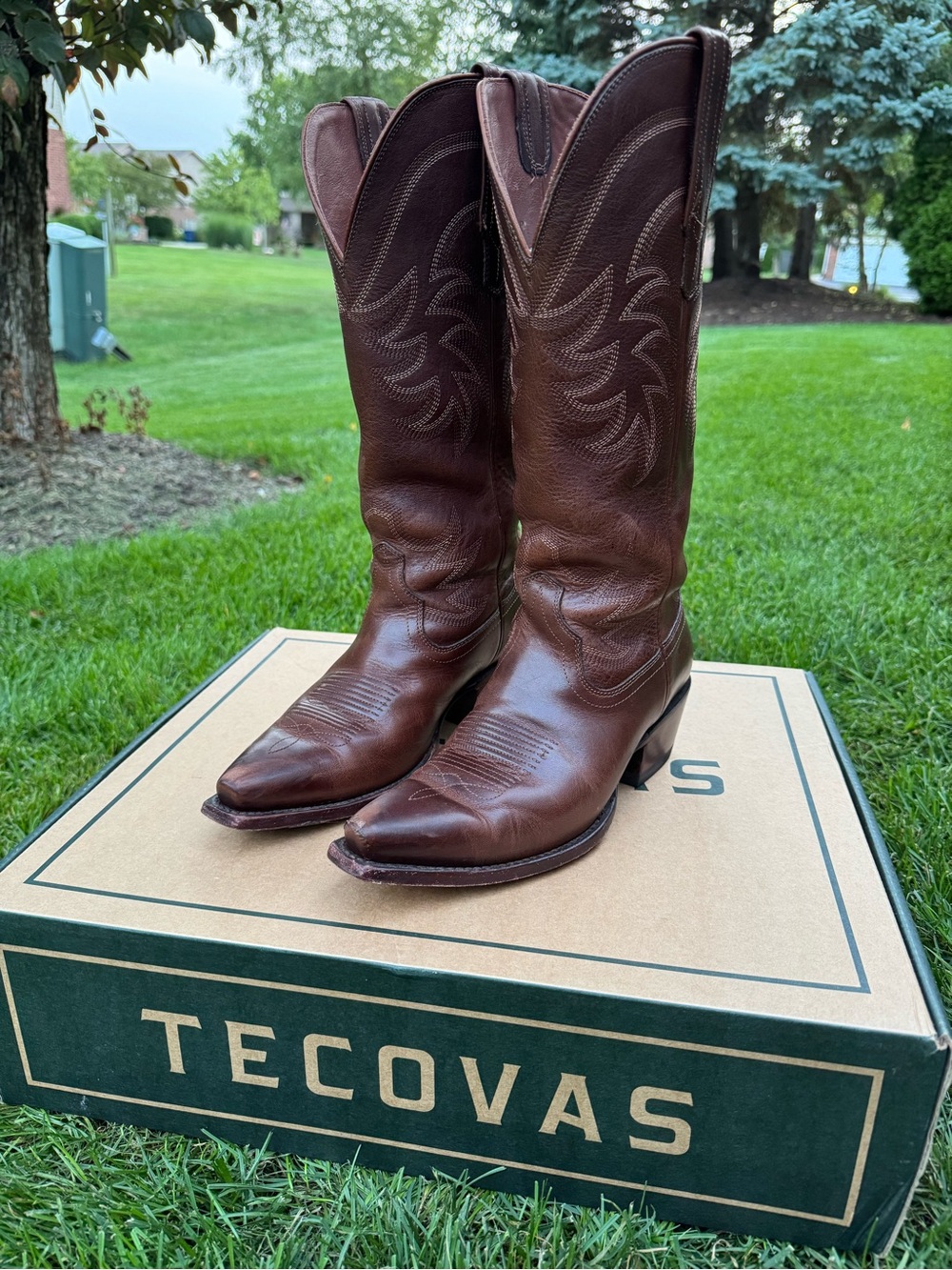 Tecovas The Annie Leather Western Boots